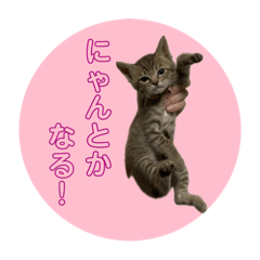 [LINEスタンプ] 可愛いめんまちゃん②