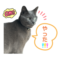 [LINEスタンプ] あずきちゃんのかわちいスタンプ