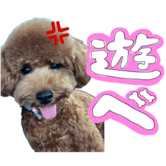 [LINEスタンプ] ロッティくんです