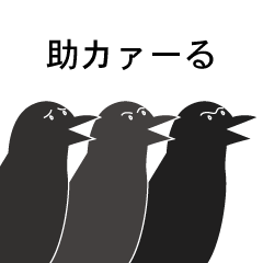 [LINEスタンプ] 3羽のカラスたち