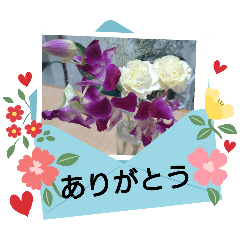 [LINEスタンプ] お花可愛い気軽にお喋り出来るスタンプ