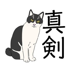 [LINEスタンプ] ハチワレのタケ