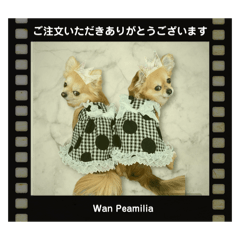 [LINEスタンプ] Wan Peamilia ②