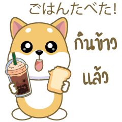 [LINEスタンプ] 柴犬③（タイ語通訳）