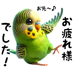 [LINEスタンプ] セキセイインコのスタンプ4