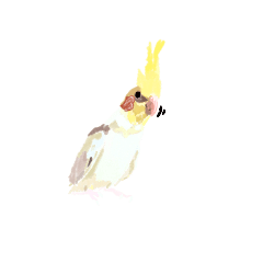 [LINEスタンプ] オカメインコのひまちゃん