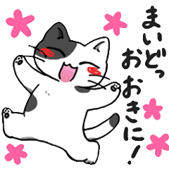 [LINEスタンプ] 関西ぶち猫の日常会話