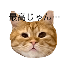 [LINEスタンプ] ぶんちゃんらんど4