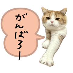 [LINEスタンプ] ましゅスタ②