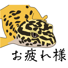 [LINEスタンプ] レオパスタンプ（ハイイエロー）