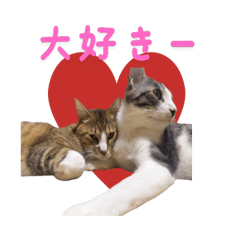 [LINEスタンプ] 実家の猫様ジジ、ほっぴ、ちっぴのスタンプ
