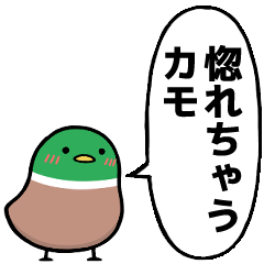 [LINEスタンプ] 鴨なのカモ