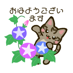 [LINEスタンプ] ちびトラきょうだい8【梅雨から夏へ】