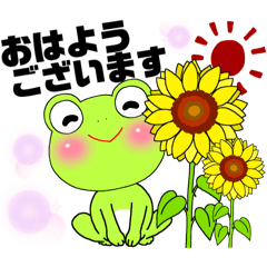 [LINEスタンプ] Mr. Frogの日常夏の画像（メイン）