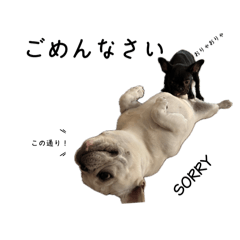 [LINEスタンプ] PandA.BUHI 1