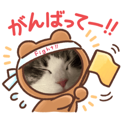 [LINEスタンプ] 猫のスタンプ^_^の画像（メイン）