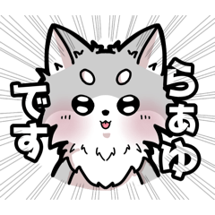 [LINEスタンプ] ちわわのらぁゆ 第2弾