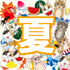 [LINEスタンプ] 【飛び出す猫 夏 挨拶】の画像（メイン）