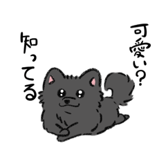 [LINEスタンプ] クマかと思ったらポメラニアン