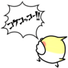 [LINEスタンプ] オカメインコのちきんちゃん☆19