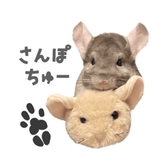 [LINEスタンプ] チンチラのとうふくん。