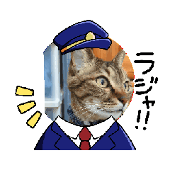 [LINEスタンプ] 動くかわいい猫さんスタンプ♥️