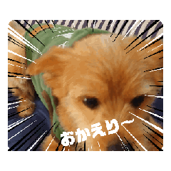 [LINEスタンプ] ロッティとレピ