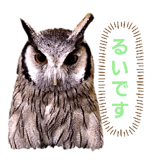 [LINEスタンプ] Louis (ルイ)