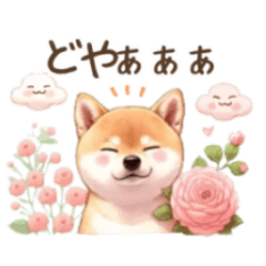 [LINEスタンプ] 柴犬とお花のほんわかスタンプ