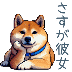 [LINEスタンプ] 彼女を褒める柴犬【カップル・彼氏】