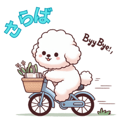 [LINEスタンプ] 【ビションフリーゼ】いつでも使える犬