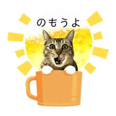 [LINEスタンプ] テヌレオポンサマースタンプ