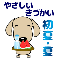 [LINEスタンプ] 優しい気づかい ダックスフンド 初夏・夏