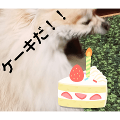 [LINEスタンプ] 六月の誕生日の子のスタンプ