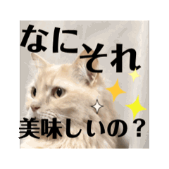 [LINEスタンプ] 動く気ままな猫達2