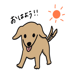 [LINEスタンプ] カムちゃんズ