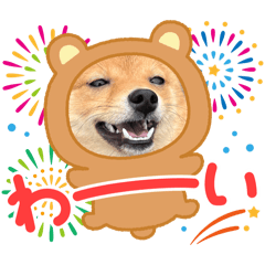[LINEスタンプ] わんこだよスタンプ