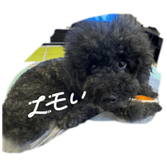 [LINEスタンプ] ヒロー犬猫