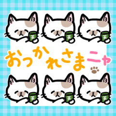 [LINEスタンプ] すずネコのスタンプ（すずネコがいっぱい）