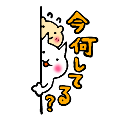 [LINEスタンプ] 今何してる？陽気な猫と気弱なりすスタンプ