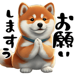 [LINEスタンプ] 柴犬＆筆文字