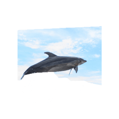 [LINEスタンプ] 台湾でよく使う挨拶 水族館 海の芸術世界