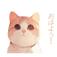 [LINEスタンプ] 可愛い猫のスタンプ 夏 3