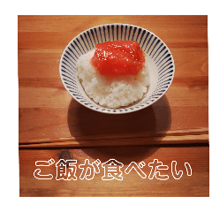 [LINEスタンプ] きょう食べたいご飯