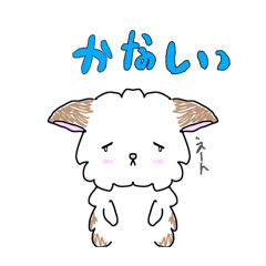 [LINEスタンプ] ‼︎ポメチワの日常‼︎