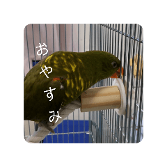 [LINEスタンプ] プイの鳥2（別）