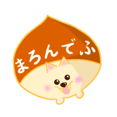 [LINEスタンプ] ポメラニアン『まろん』の日常使いスタンプ