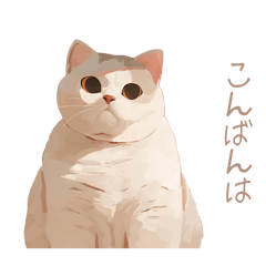 [LINEスタンプ] 可愛いでぶ猫のスタンプ 夏 2