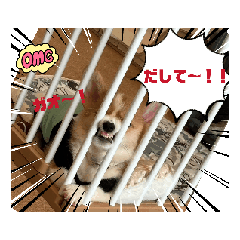 [LINEスタンプ] ぼんぢり★