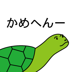 [LINEスタンプ] 語尾音引き亀の画像（メイン）